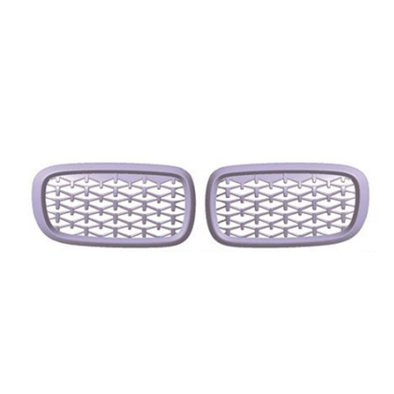 F15/F16(NEW X5/X6) GRILLE(2014-UP) 1